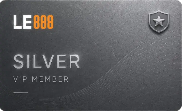 Silver VIP