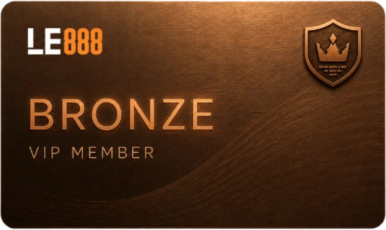 Bronze VIP